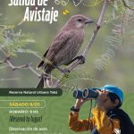 La Reserva Takú realizará una salida gratuita de avistaje de aves en el marco del Global Big Day